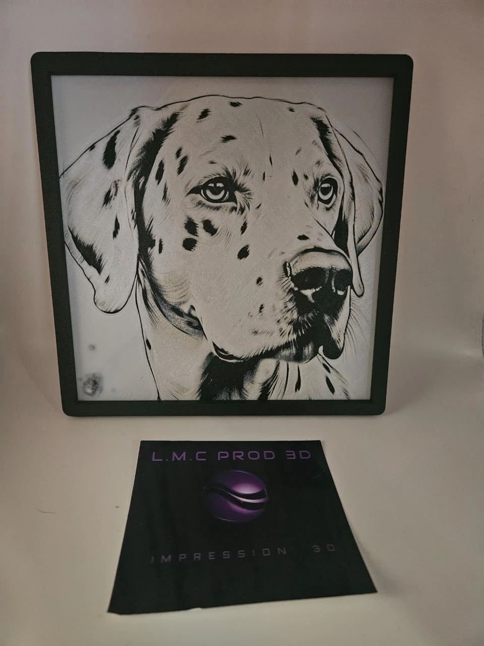 CADRE DALMATIEN